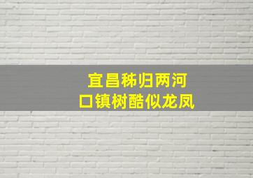 宜昌秭归两河口镇树酷似龙凤