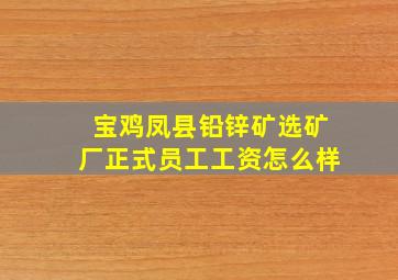 宝鸡凤县铅锌矿选矿厂正式员工工资怎么样