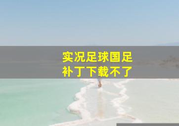 实况足球国足补丁下载不了