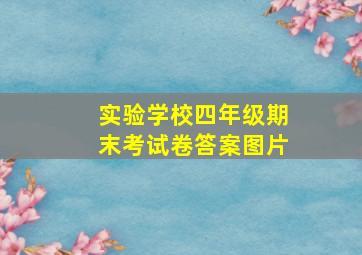 实验学校四年级期末考试卷答案图片