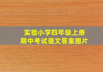 实验小学四年级上册期中考试语文答案图片