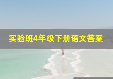 实验班4年级下册语文答案