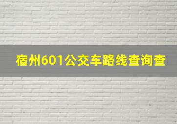 宿州601公交车路线查询查