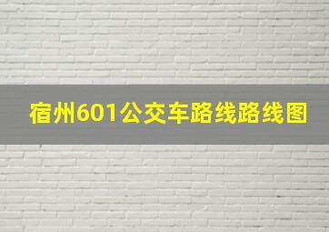 宿州601公交车路线路线图