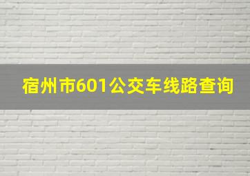 宿州市601公交车线路查询