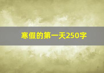 寒假的第一天250字