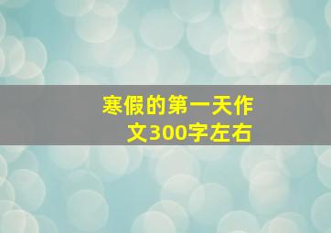 寒假的第一天作文300字左右