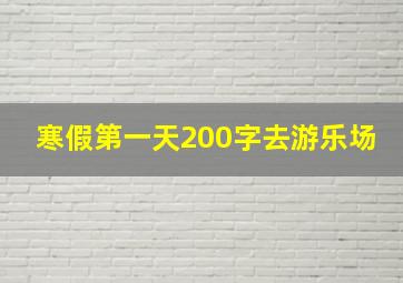 寒假第一天200字去游乐场