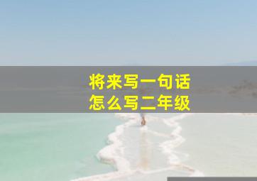 将来写一句话怎么写二年级