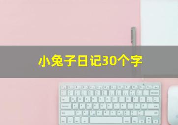 小兔子日记30个字