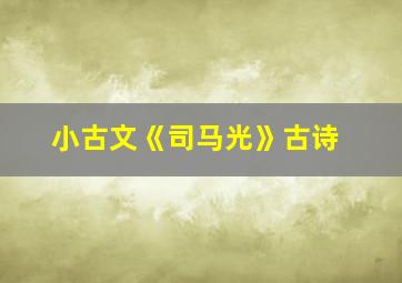 小古文《司马光》古诗