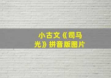 小古文《司马光》拼音版图片