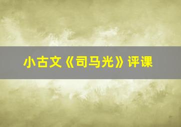 小古文《司马光》评课