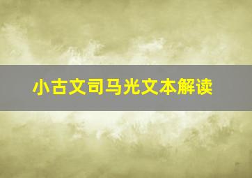 小古文司马光文本解读