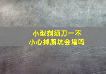 小型剃须刀一不小心掉厕坑会堵吗