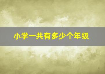 小学一共有多少个年级