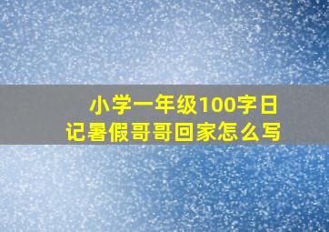 小学一年级100字日记暑假哥哥回家怎么写