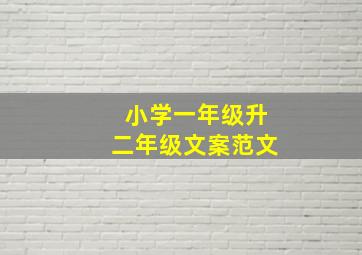 小学一年级升二年级文案范文