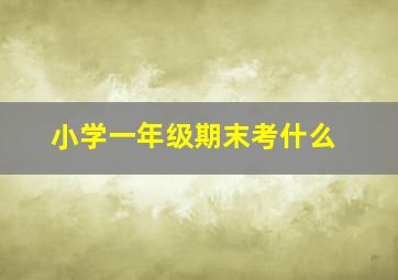 小学一年级期末考什么