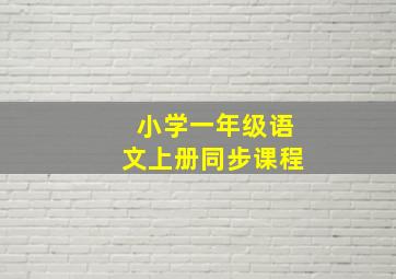 小学一年级语文上册同步课程