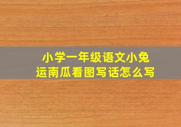 小学一年级语文小兔运南瓜看图写话怎么写