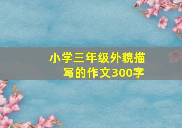 小学三年级外貌描写的作文300字