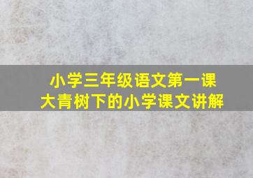 小学三年级语文第一课大青树下的小学课文讲解