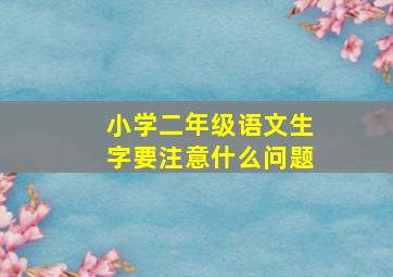 小学二年级语文生字要注意什么问题