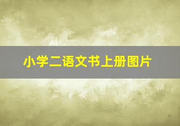 小学二语文书上册图片