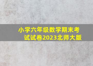 小学六年级数学期末考试试卷2023北师大版