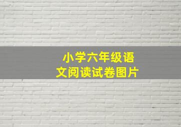 小学六年级语文阅读试卷图片