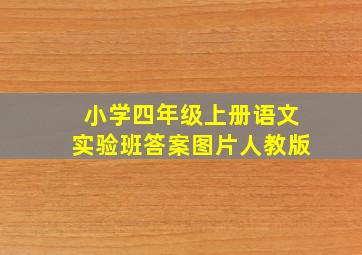 小学四年级上册语文实验班答案图片人教版