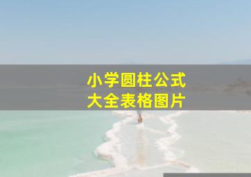 小学圆柱公式大全表格图片