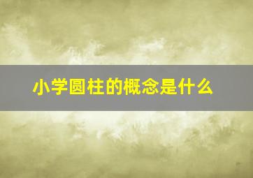 小学圆柱的概念是什么