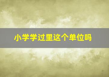 小学学过里这个单位吗