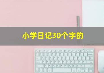 小学日记30个字的