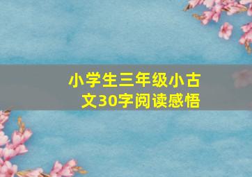 小学生三年级小古文30字阅读感悟