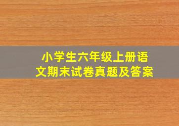 小学生六年级上册语文期末试卷真题及答案