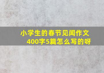 小学生的春节见闻作文400字5篇怎么写的呀