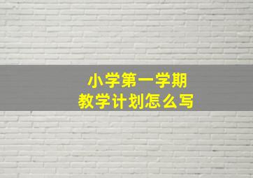 小学第一学期教学计划怎么写