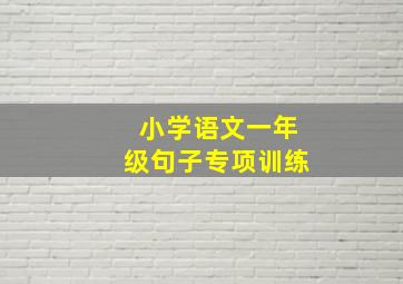 小学语文一年级句子专项训练