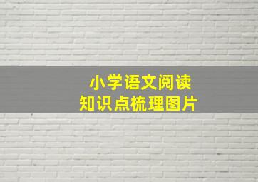 小学语文阅读知识点梳理图片