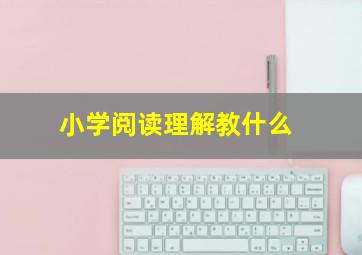 小学阅读理解教什么