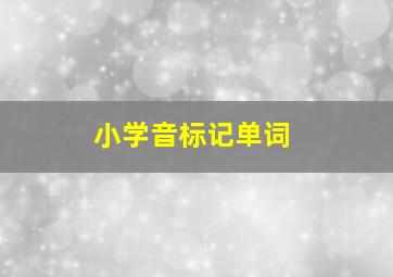 小学音标记单词