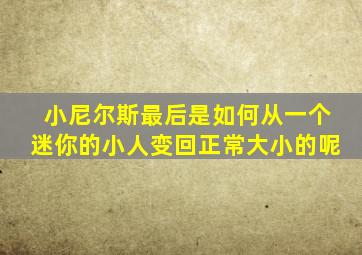 小尼尔斯最后是如何从一个迷你的小人变回正常大小的呢