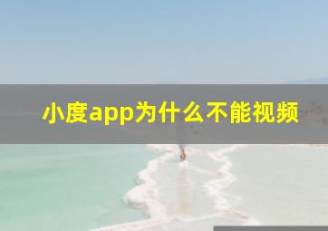 小度app为什么不能视频