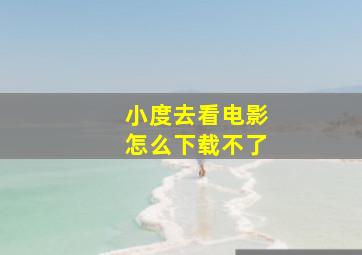 小度去看电影怎么下载不了