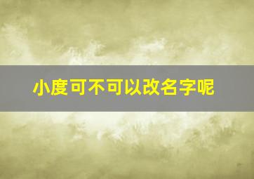 小度可不可以改名字呢