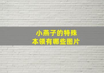 小燕子的特殊本领有哪些图片