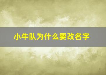 小牛队为什么要改名字